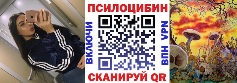 Псилоцибиновые грибы прущие грибы  Фатеж 